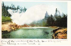 Riverside Geyser, Yellowstone 1905