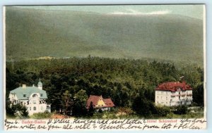 BADEN-BADEN, GERMANY ~ Birdseye View HOTEL SCHIRMHOF 1905 Postcard
