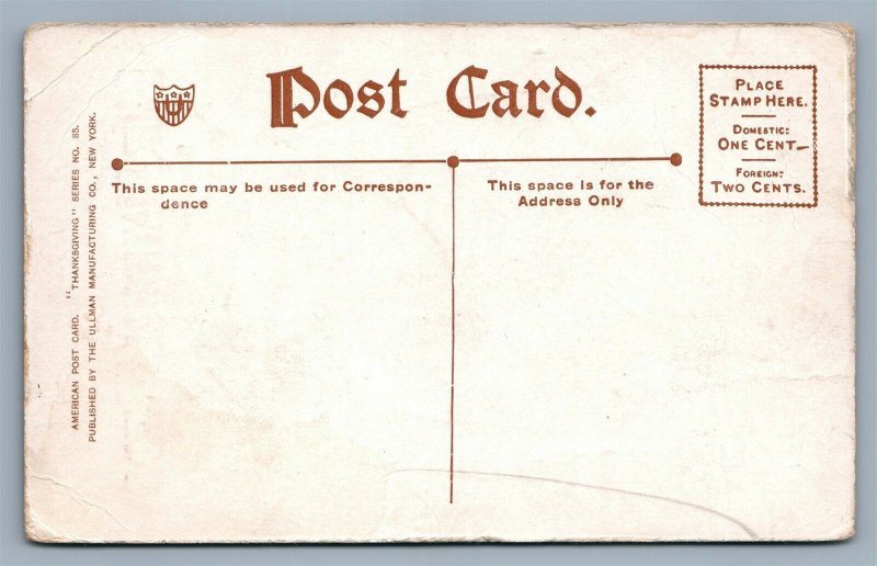 OUR NATIONAL BIRDS PATRIOTIC ANTIQUE POSTCARD THANKSGIVING