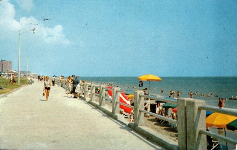 Virginia Virginia Beach Boardwalk Scene 1956