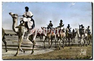 Old Postcard Morocco Picturesque Defile dromedarists