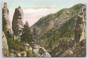 State View~Scene In The El Capitan Mountains~nr Roswell NM~Vintage Postcard