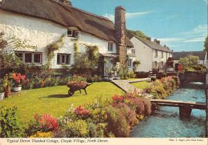 B103064 typical devon thatched cottage croyde village    uk