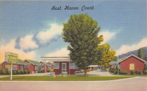 Knoxville Tennessee 1940s Postcard Rest Haven Court Motel