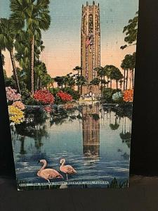 Postcard Birds in Water at The Singing Tower in Mountain Lake, FL.   U4