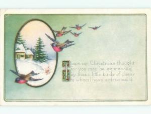 Divided-Back CHRISTMAS BIRDS SCENE Pretty Postcard W8536