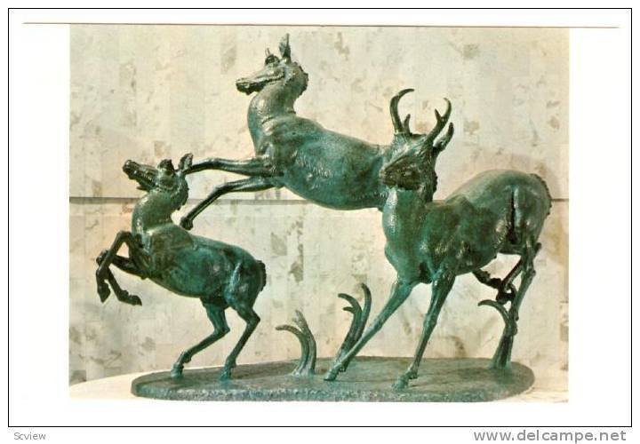 Provincial Museum And Archives Of Alberta, The Pronghorns- By John B. Weaver,...