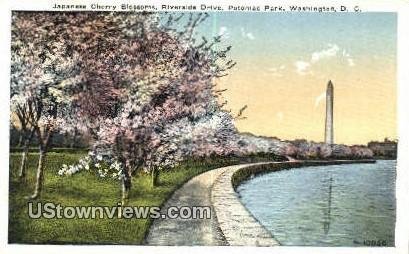 Riverside Drive, Potomac Park, District Of Columbia