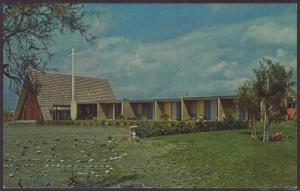 Orangewood,American Baptist Estates,Phoenix,AZ Postcard