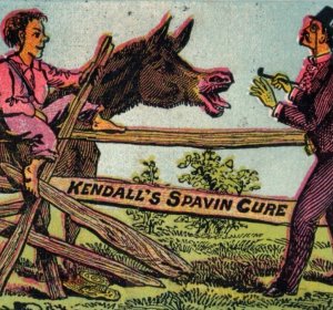 1880 Kendall's Spavin Cure Dandy Urchin & Donkey Farm #6P