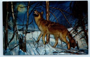 WISCONSIN DELLS, WI ~ Roadside Walt Stanton's CALL of the WILD  c1960s  Postcard