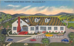 Rashkin's Little Falls Hotel - Mountaindale, New York NY  