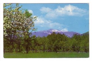 Snow Capped Mount Washington, White Mountains, New Hampshire, Used 1954