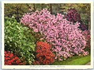 Postcard - Bellingrath Gardens, Mobile, Alabama