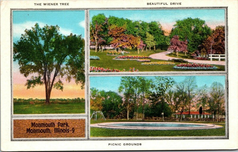 Vintage Monmouth Park Wiener Tree Picnic Grounds Monmouth Illinois IL Postcard