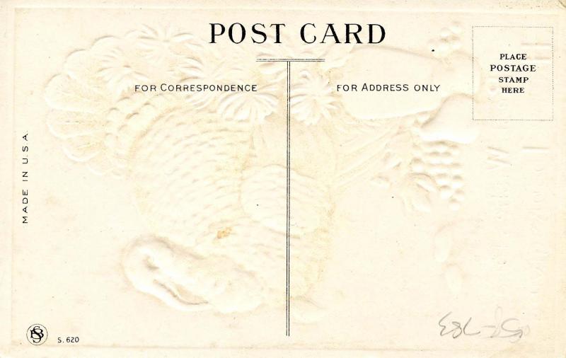 Greeting - Thanksgiving, Turkey