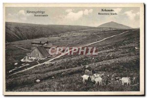 Old Postcard Riesengebirge Rennerbaude Giant Rennerova sulked Goat Goats