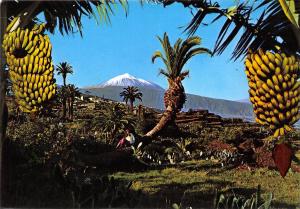 BG27668 tenerife el teide desde la victoria   spain