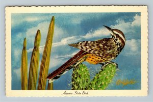 AZ-Arizona State Bird Cactus Wren, Desert Scene Ken Haag Canvas, Chrome Postcard