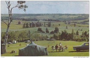 Time To Feed The Family, One Of The Many Camp Sites Found On Prince Edward Is...