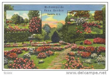 Sunnyside Rose Garden, Charlotte, North Carolina, PU-1951