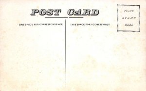 Plumme's Mill Pond Bear Camp River Waterfall Scenic View Postcard AA101100