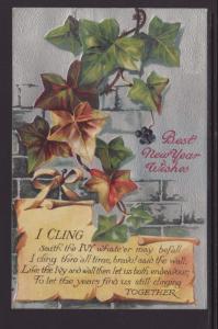 Best New Year Wishes,Ivy