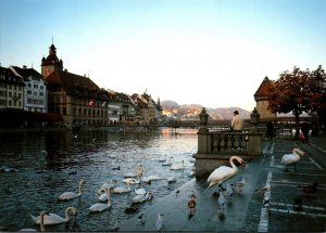 Switzerland Lucerne View Of Town Hall and Chapel Bridge