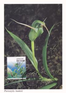 Pterostylsis Banksii New Zealand Orchid Flower Postcard First Day Cover