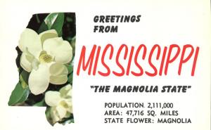 Greetings from Mississippi the Magnolia State - State Flower