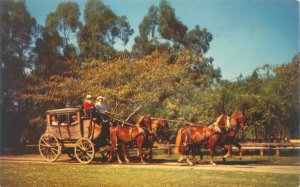 Knott's Berry Farm California Stage Coach & Horses Vintage Chrome Postcard