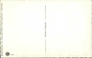 Mainzer Cat Fantasy - Postcard AIRPLANE STEWARDESS FLIGHT ATTENDANT