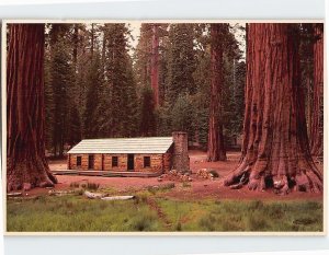 Postcard Mariposa Grove Museum, Yosemite National Park, Fish Camp, California