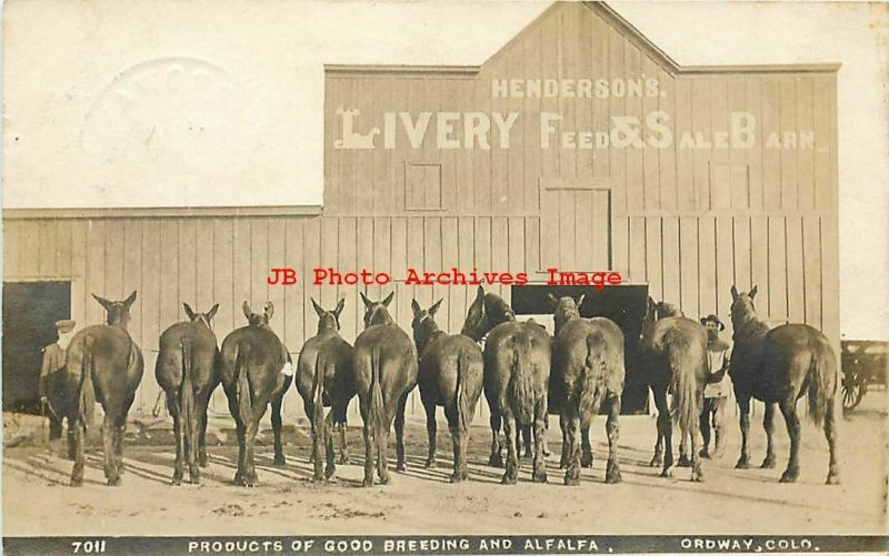 CO, Ordway, Colorado, RPPC, Henderson's Livery, Horse Sale, Photo No 7011