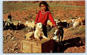 SEDONA, AZ Arizona Area? ~ Cute NAVAJO INDIAN GIRL & Sheep Dogs c1960s Postcard