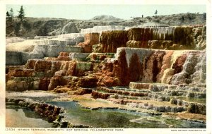 WY - Yellowstone Nat'l Park. Mammoth Hot Springs, Hymen Terrace