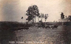 Big Fork Minnesota Cows Grazing on Farm Real Photo Vintage Postcard AA90654