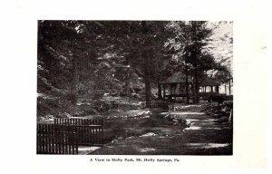 Postcard PARK SCENE Mt Holly Springs Pennsylvania PA AT7011