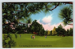 Golfing In The Lost Pine Virginia Postcard Linen Unposted Asheville Golf Golfer