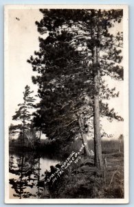 Land O Lakes Wisconsin WI Postcard RPPC Photo A Spring Morning c1930's Vintage