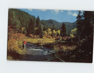 Postcard Spearfish Canyon Spearfish South Dakota USA