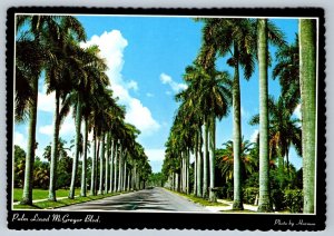 Royal Palm Lined McGregor Blvd, Ft Myers, Florida, Chrome Postcard