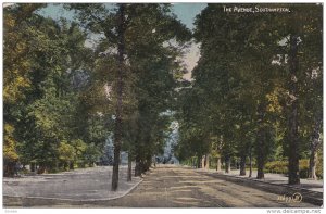 The Avenue, Lined-Up Trees, SOUTHAMPTON (Hampshire), England, UK, 1900-1910s
