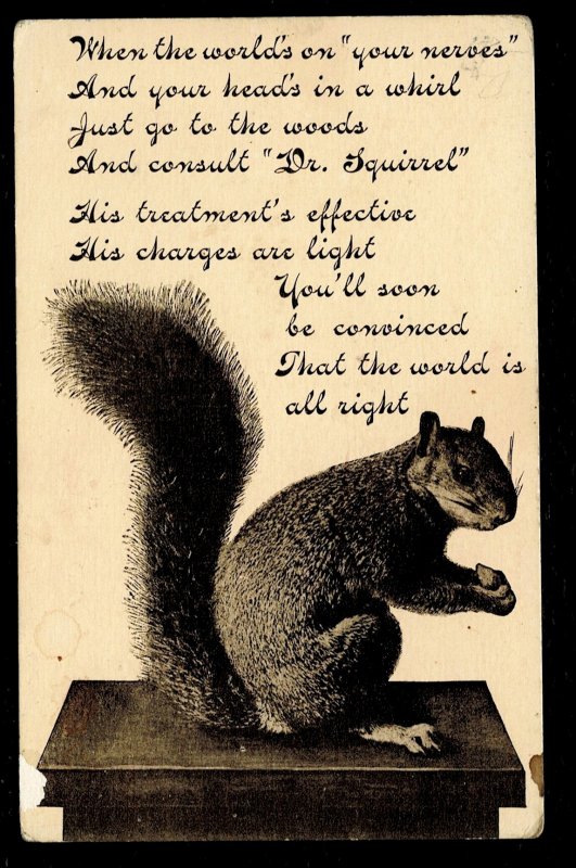 Consult Dr. Squirrel postcard - read to appreciate  pencil notations over