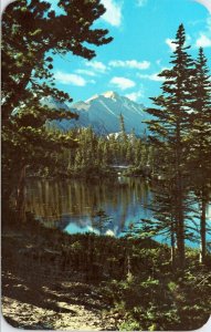 postcard CO - Vista of Long's Peak from Nymph Lake