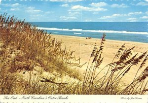 Outer Banks, North Carolina  