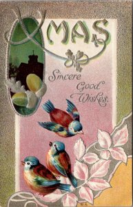 Xmas Christmas Postcard Sincere Good Wishes Birds on Leaves Acorns