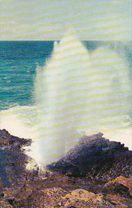 Hawaii Oahu Blow Hole Salt Water Geyser