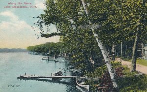 Canoe and Birch Tree along the Shore Lake Massabesic NH New Hampshire pm 1911 DB