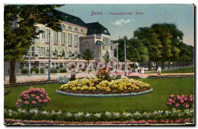 Old Postcard Bonn Poppelsdorf Allee